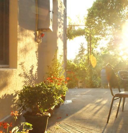 Merabi And Neli Guest House Makhinjauri Exterior foto