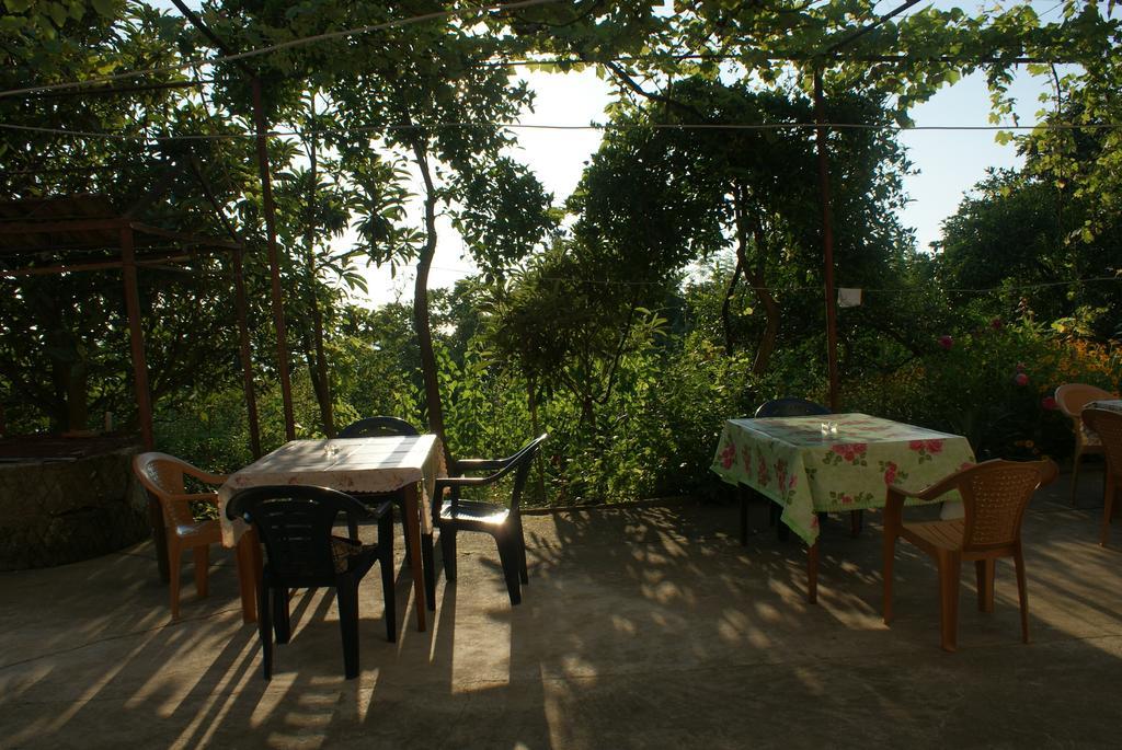 Merabi And Neli Guest House Makhinjauri Cameră foto