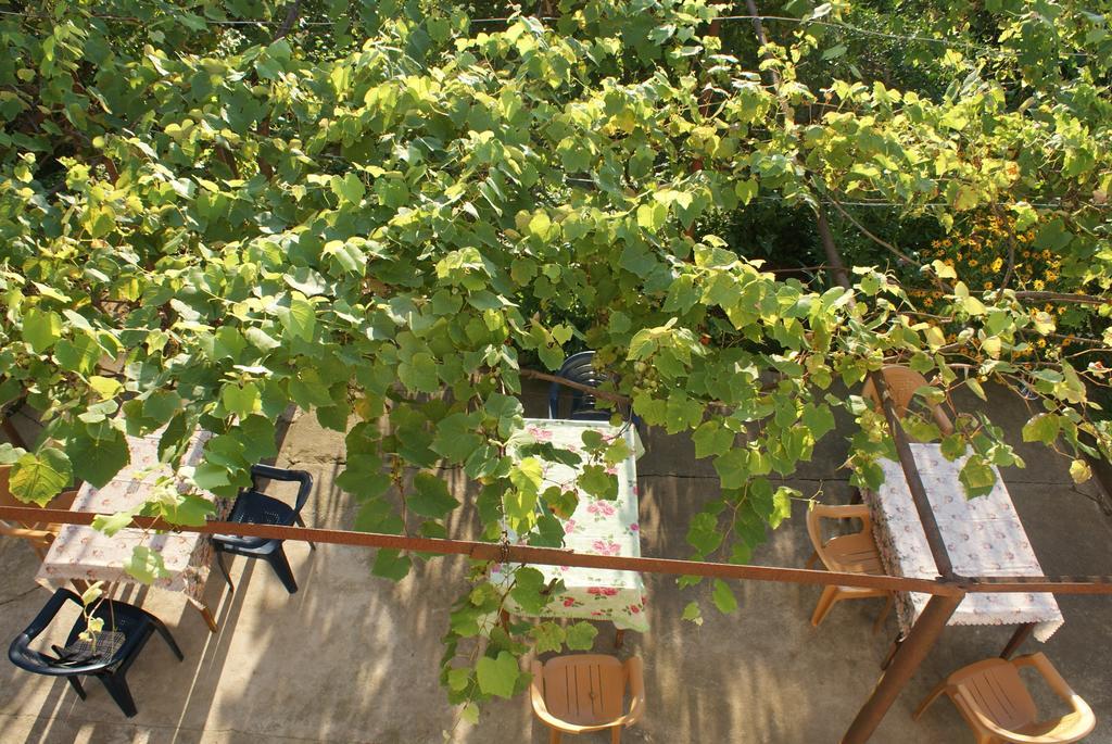 Merabi And Neli Guest House Makhinjauri Cameră foto